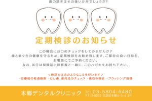 ヨコ336_オレンジ