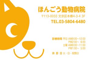 N028_オレンジ