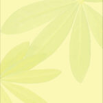 黄色 名入れ前の状態